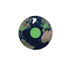 Icono 8